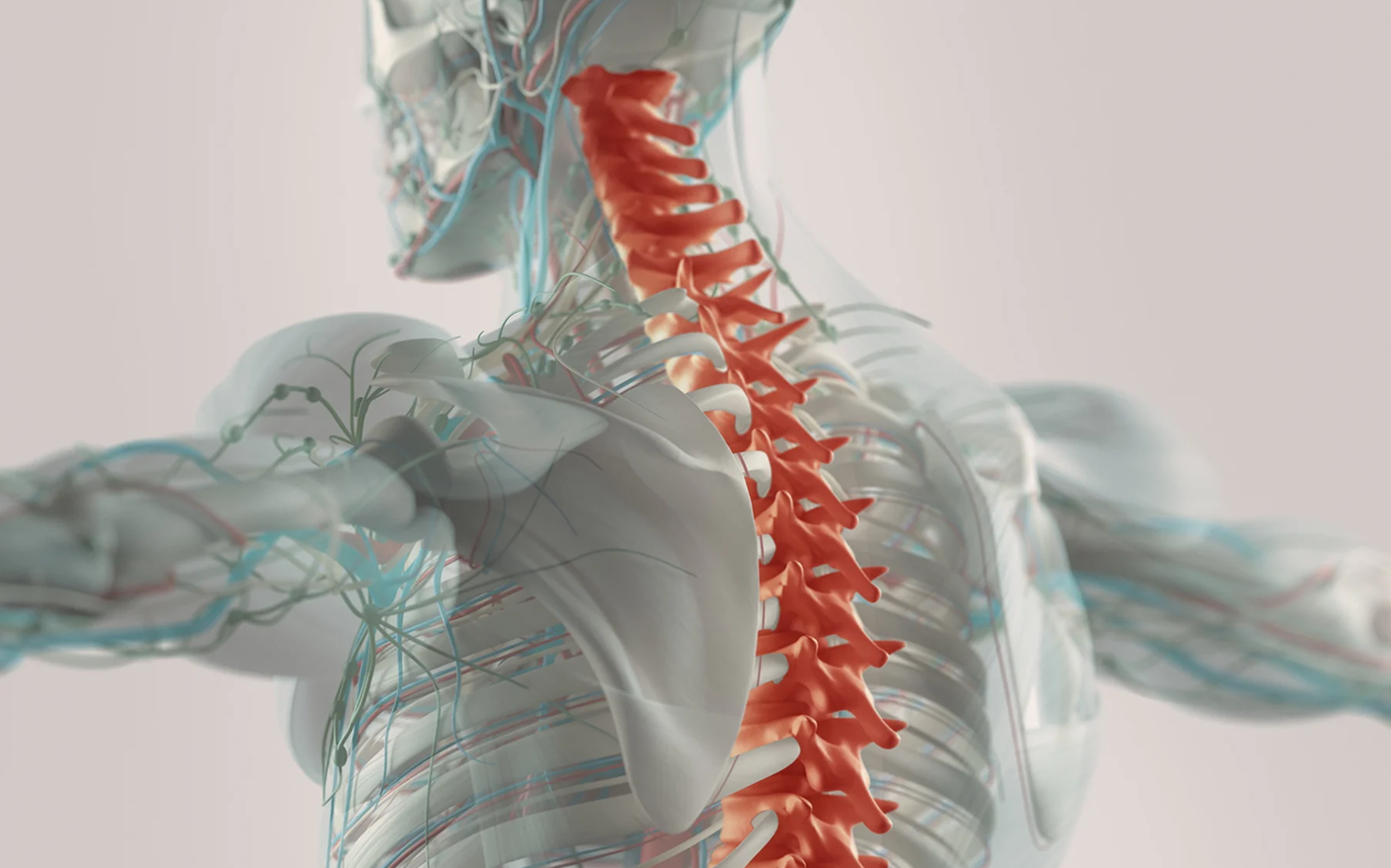 Spinal cord injuries
